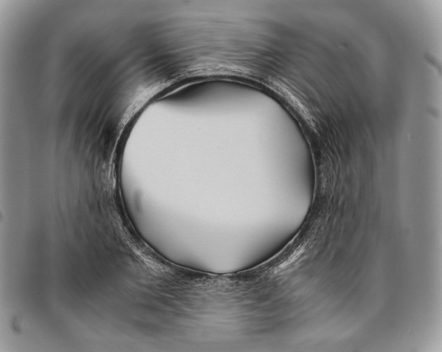 X0000096380885200802141429