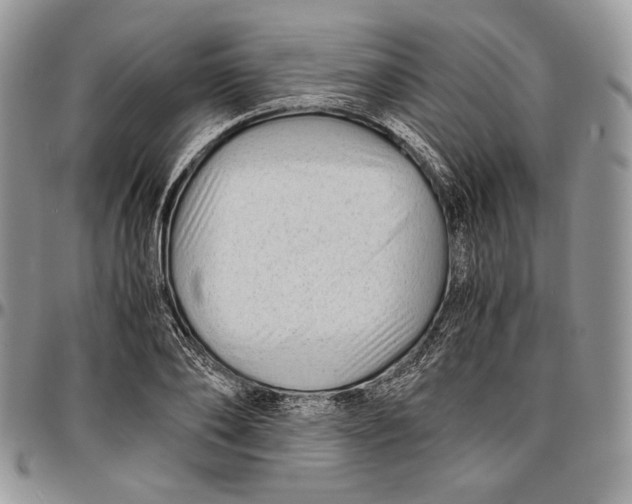 X0000096380886200802141428