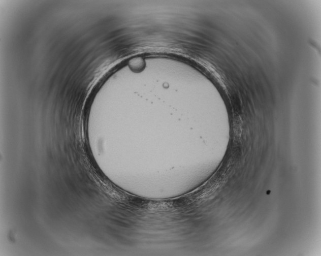 X0000096380887200802141428