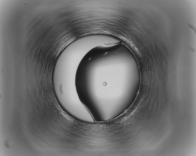 X0000096380889200802141428