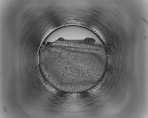 X0000096380891200802141428