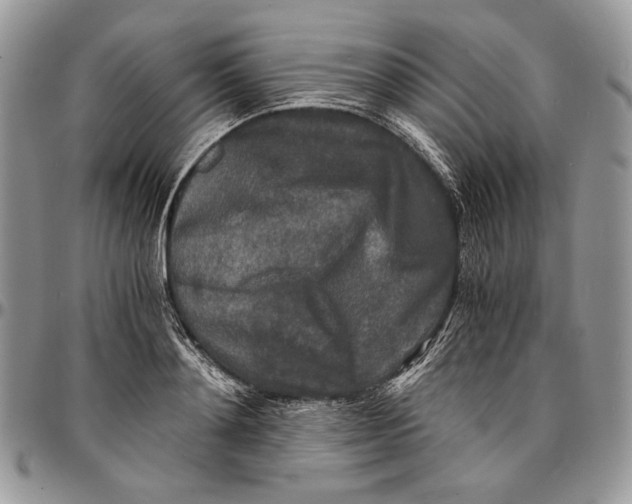 X0000096380892200802141428