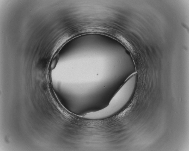 X0000096380893200802141428