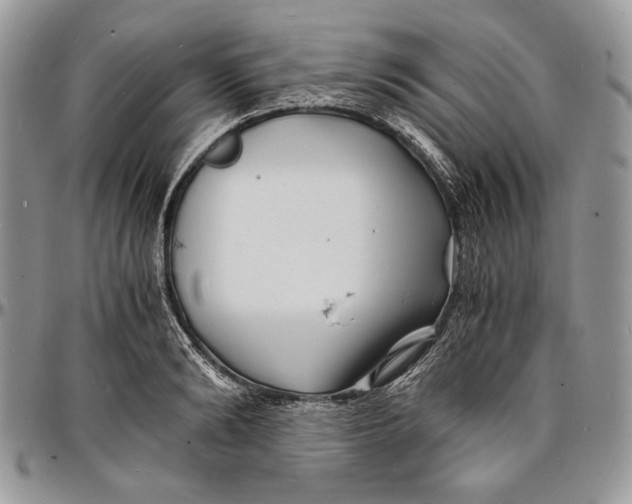 X0000096380894200802141428