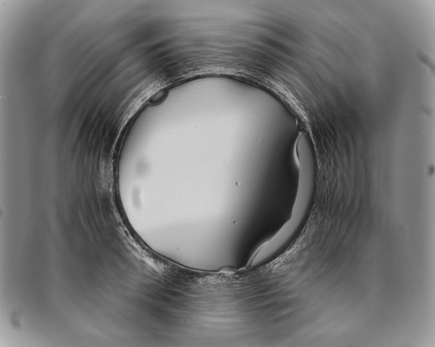 X0000096380898200802141428