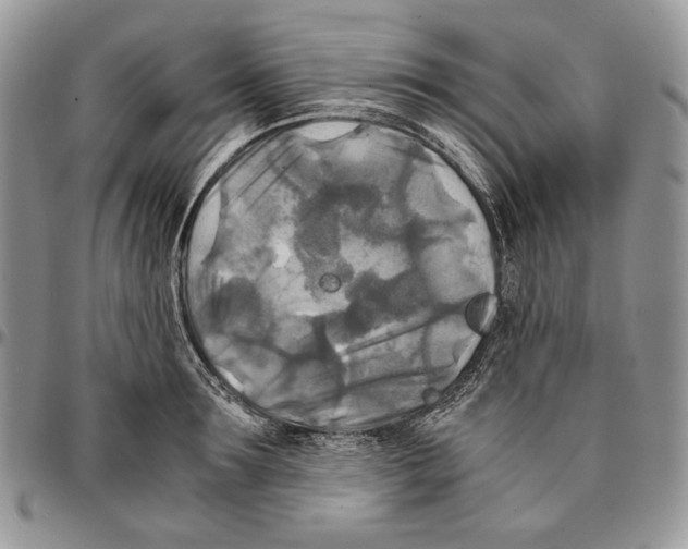 X0000096380899200802141428