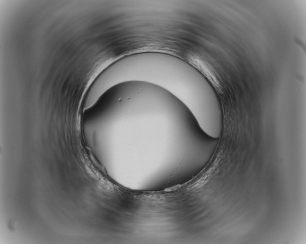 X0000096380900200802141428