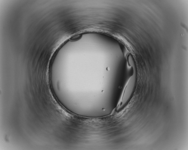 X0000096380902200802141428