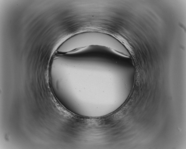 X0000096380904200802141428