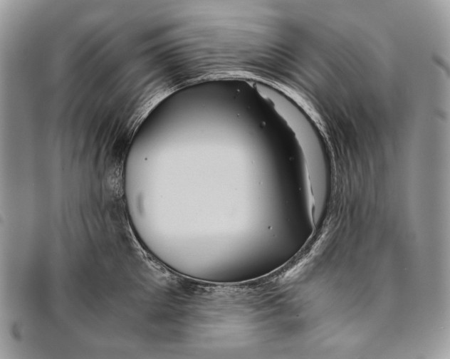 X0000096380905200802141428