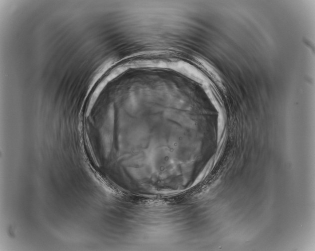 X0000096380907200802141428