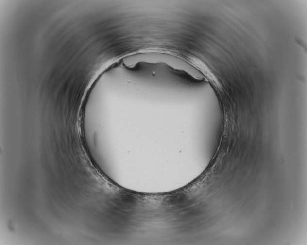 X0000096380908200802141428