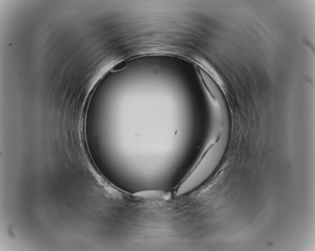 X0000096380909200802141428