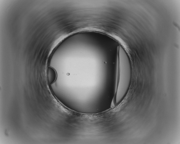 X0000096380910200802141428