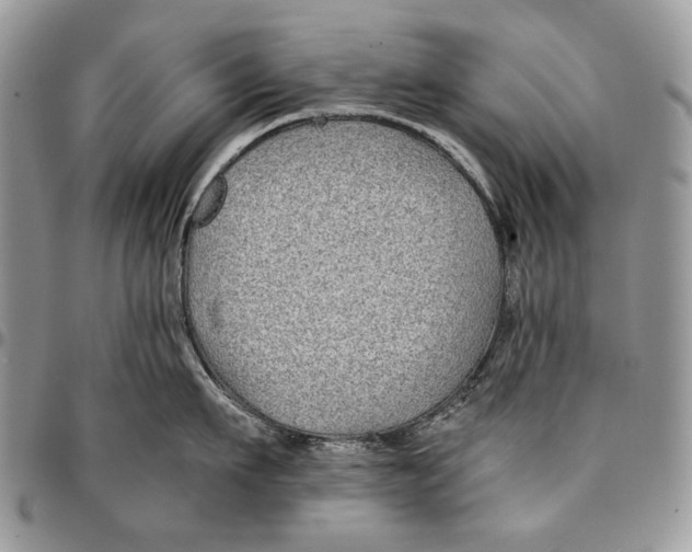 X0000096380911200802141428