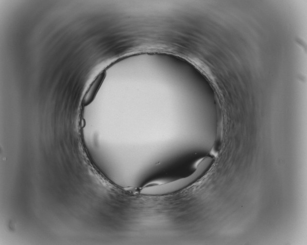 X0000096380912200802141428