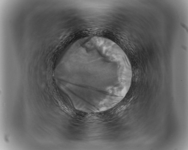 X0000096380913200802141427