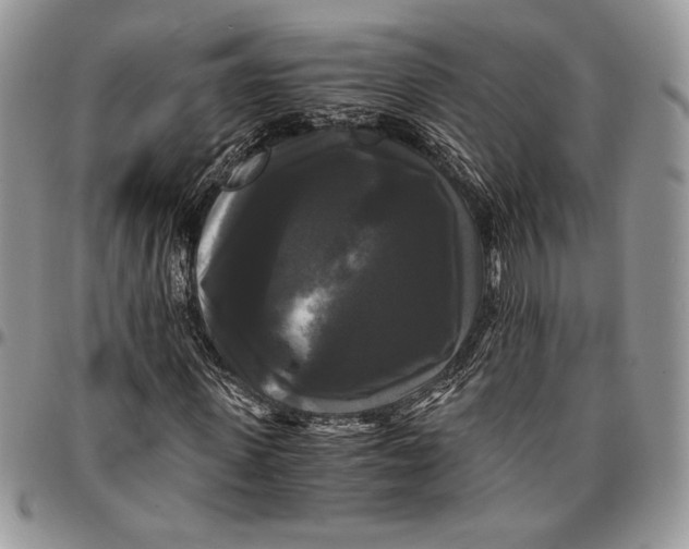 X0000096380915200802141427