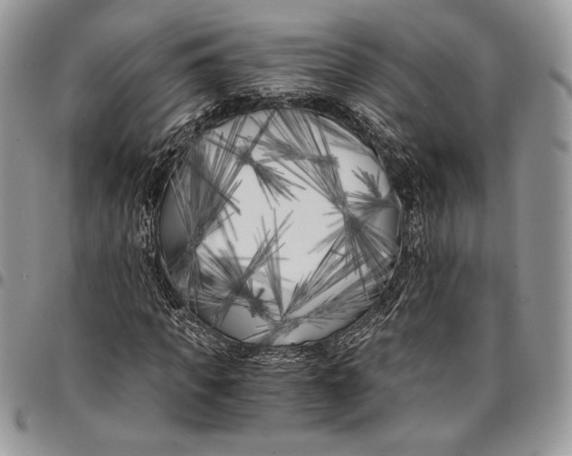 X0000096380917200802141427