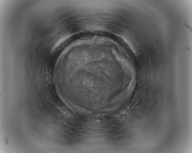 X0000096380919200802141427