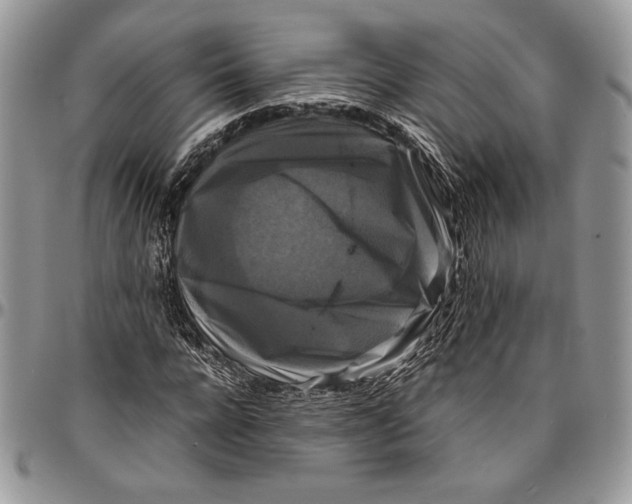 X0000096380920200802141427