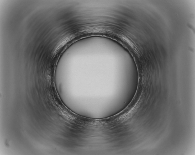 X0000096380922200802141427