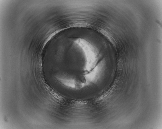 X0000096380923200802141427