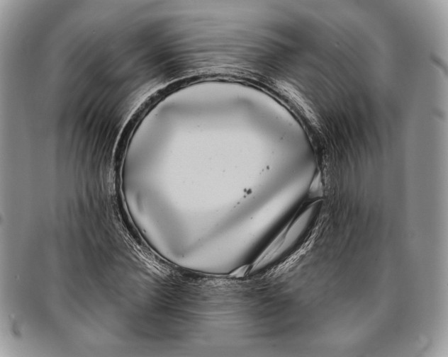 X0000096380924200802141427