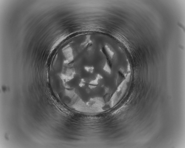 X0000096380925200802141427