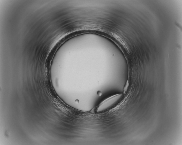 X0000096380926200802141427