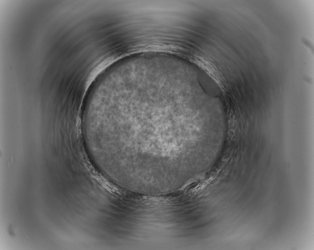 X0000096380928200802141428