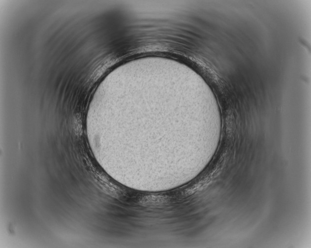 X0000096380929200802141428