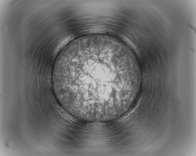 X0000096380930200802141428