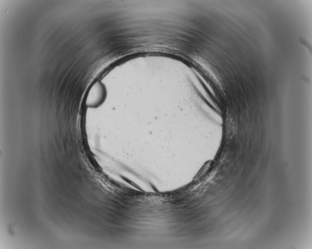 X0000096380932200802141428