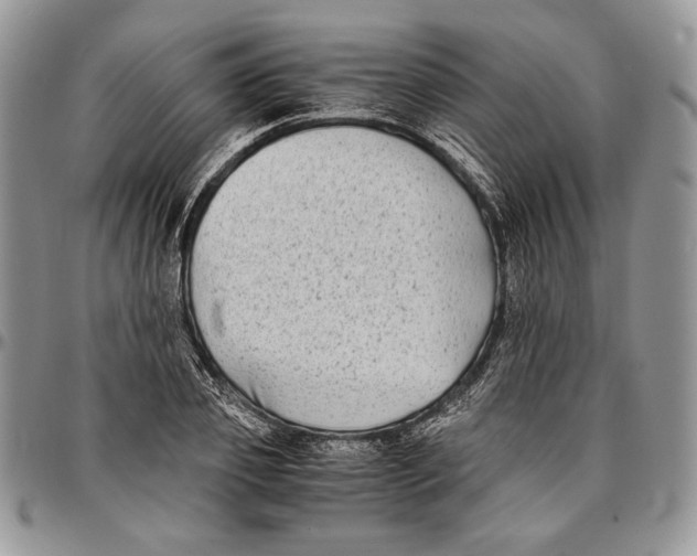 X0000096380933200802141428