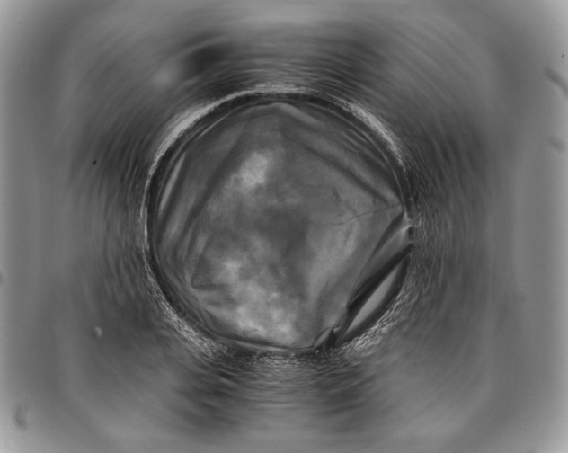 X0000096380935200802141428