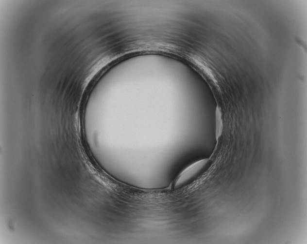 X0000096380936200802141428