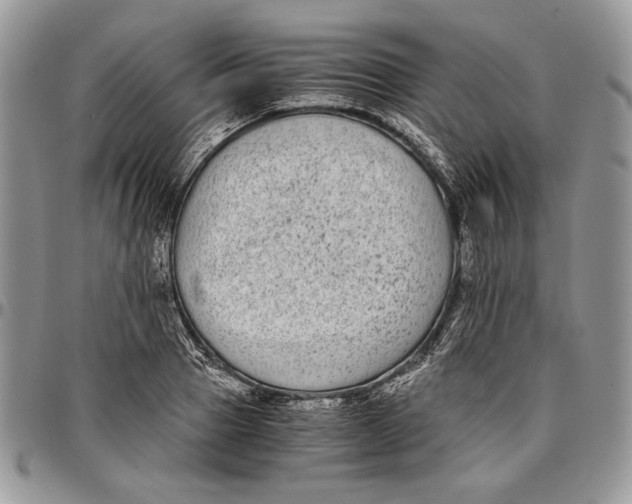 X0000096380937200802141428