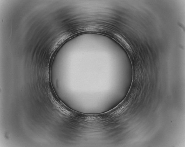 X0000096380938200802141428