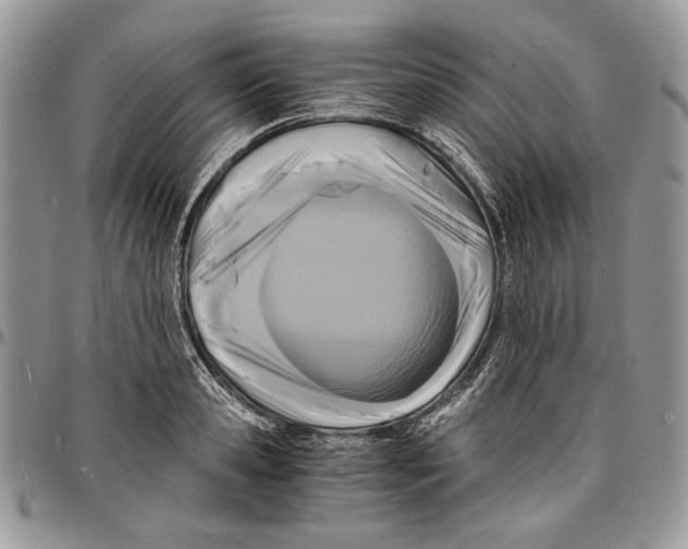 X0000096380941200802141428