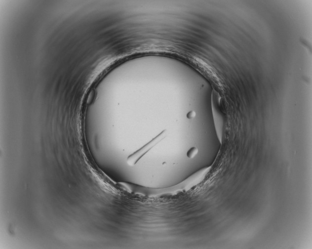 X0000096380942200802141428