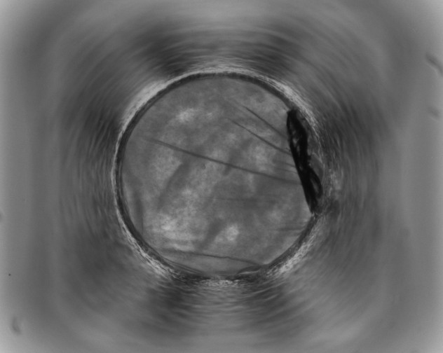 X0000096380943200802141428