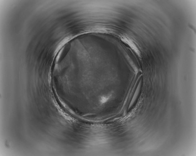 X0000096380944200802141428