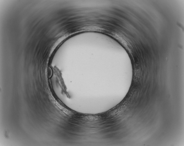 X0000096380947200802141428