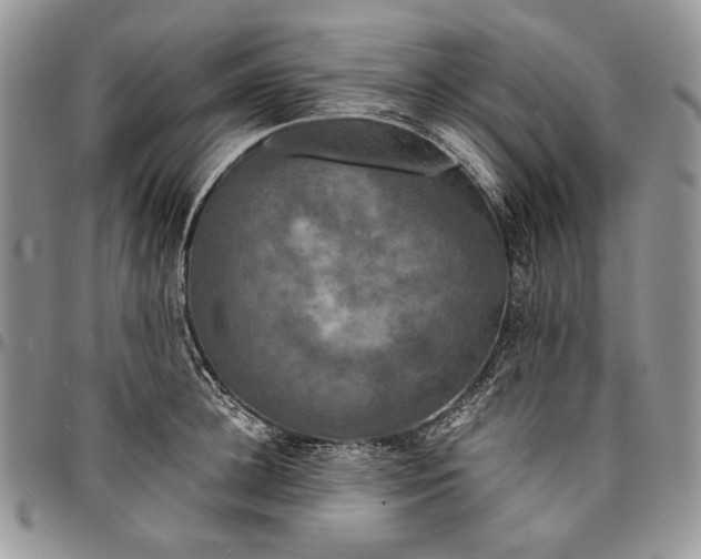 X0000096380948200802141428