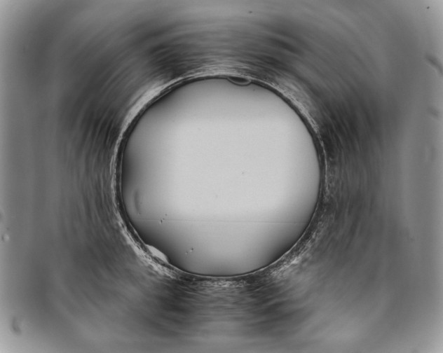 X0000096380949200802141428