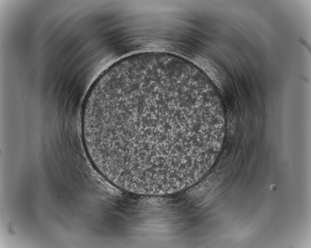 X0000096380950200802141428