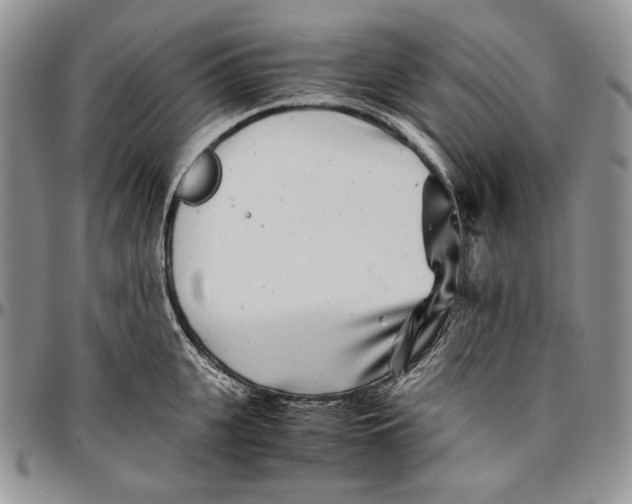 X0000096380951200802141428