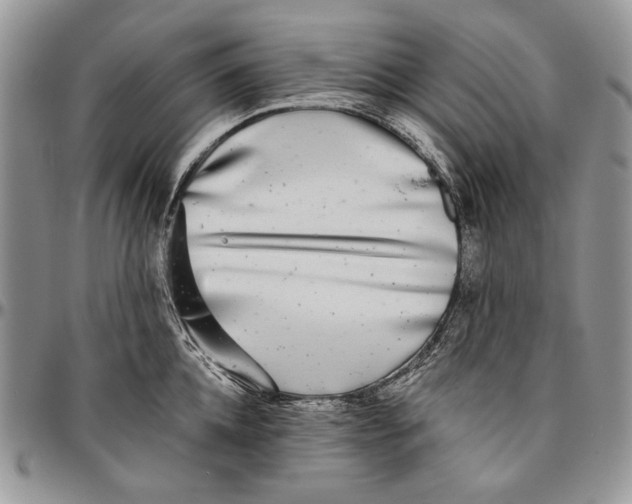 X0000096380952200802141428