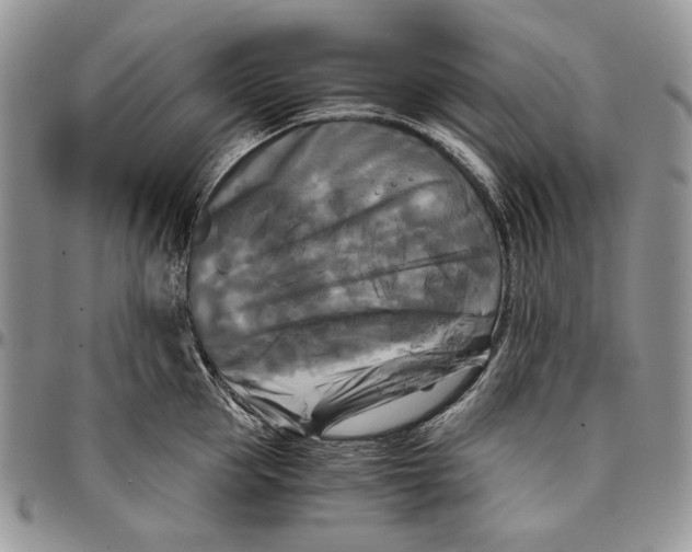 X0000096380953200802141428